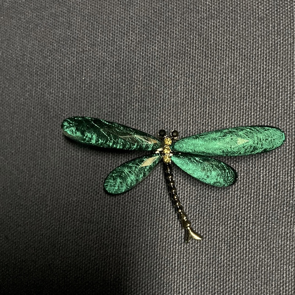 Dragonfly pin